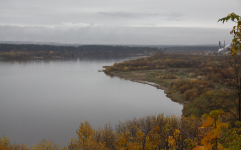 В Мордовии односельчане спасли пятилетнюю девочку, едва не утонувшую в реке