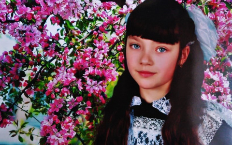 Медалью наградили юную жительницу Мордовии, спасшую от смерти одноклассника