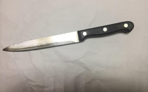 Житель Мордовии пытался зарезать сожительницу: женщина госпитализирована