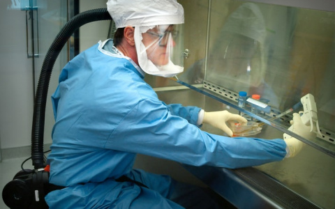 За сутки коронавирус подтвержден еще у 46 человек в Мордовии