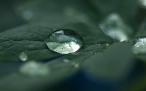 Синоптики рассказали, какая погода будет в Саранске 11 мая