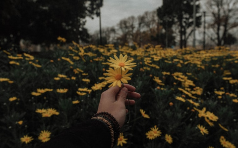 Перемены у Овнов, а у Скорпионов – судьбоносное знакомство: гороскоп на неделю для всех знаков зодиака