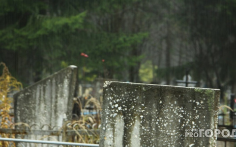 В Мордовии инвалид по психическому здоровью повредили надгробия на кладбище