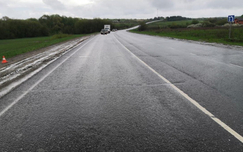 В Мордовии «Приора» вылетела в кювет: водитель погиб, пассажир госпитализирован