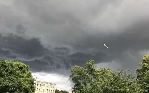 Смерчи, ураганы, засуха: россиянам предрекли разрушительные природные катаклизмы