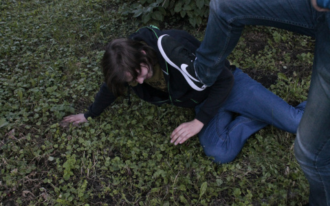 Житель Мордовии поколотил гостя, который не хотел уходить домой