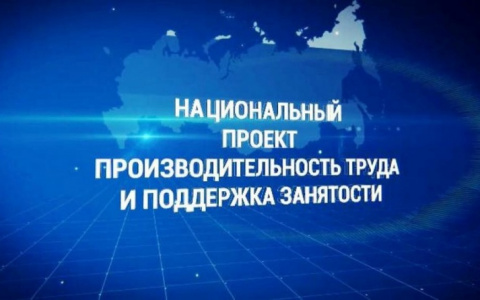 Региональный проект «Адресная поддержка повышения производительности труда на предприятиях»