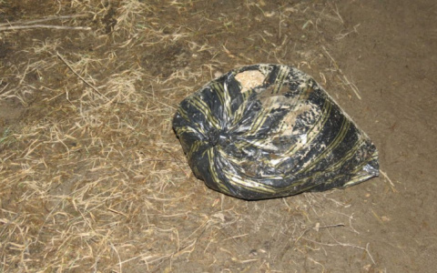 В Мордовии у троих рыбаков полицейские изъяли килограмм марихуаны