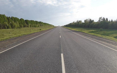 На трассе в Мордовии из-за неудачного обгона «Ауди» вылетела в кювет: пострадали двое