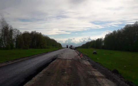 В Мордовии пьяный водитель, уходя от погони, устроил ДТП и съехал в кювет