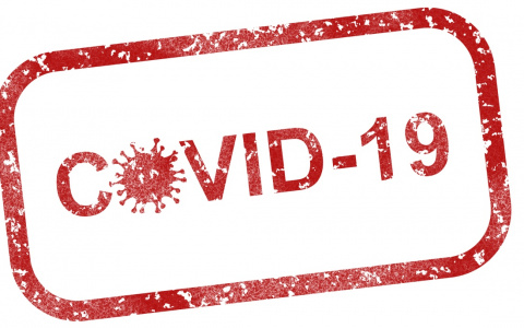 Коронавирус в Мордовии. Что известно на 21 мая