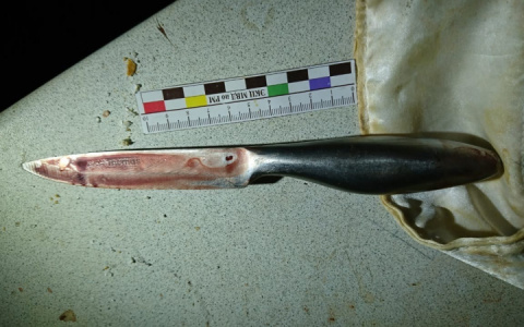 Житель Мордовии получил 12 лет колонии за убийство знакомого