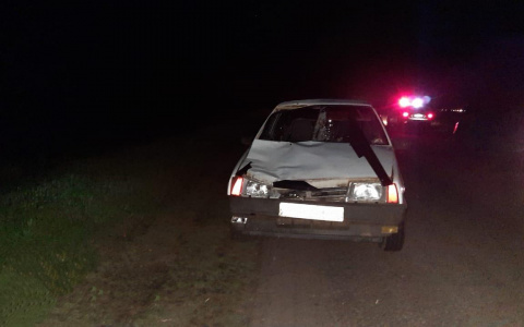 Смертельное ДТП в Мордовии: ВАЗ сбил мужчину, идущего по дороге