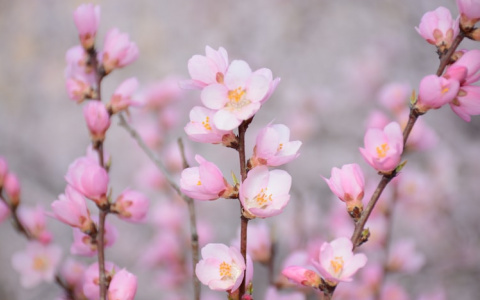 Непредсказуемый день у Близнецов, а Скорпионам нужно сбавить обороты: гороскоп на 24 мая для всех знаков