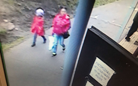 Жительница Мордовии украла из камеры хранения пакет с продуктами, масками и перчатками