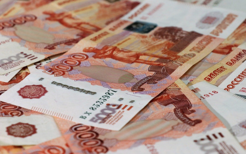 Хотела оформить выплату на ребенка: Жительница Саранска лишилась денег из-за фейкового сайта