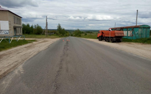 В Мордовии перевернулся мотоблок: пострадал водитель