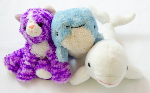 Разозленный житель Саранска кулаком разбил автомат с мягкими игрушками после неудачной игры