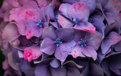 У Овнов - незапланированные расходы, а Скорпионам нужен отдых: гороскоп на 4 июня для всех знаков