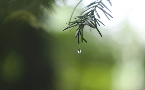 Синоптики рассказали о погоде в Саранске на пятое июня