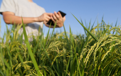 РСХБ и Московский физико-технический институт создают совместную лабораторию по развитию искусственного интеллекта