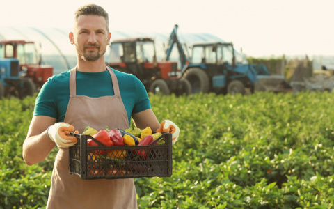 РСХБ будет давать кэшбэк фермерскими продуктами