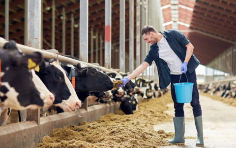 Россельхозбанк научит запускать и вести рентабельный и устойчивый фермерский бизнес