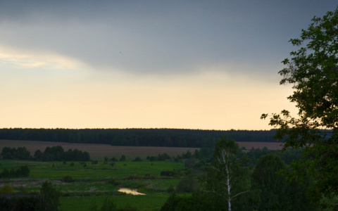 Синоптики рассказали о погоде в Саранске на 15 июня