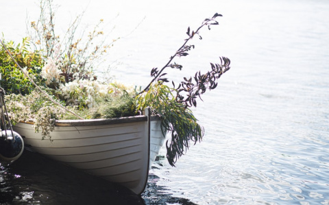 Ответственный день у Тельцов, а Водолеи могут допустить ошибку: гороскоп на 15 июня для всех знаков