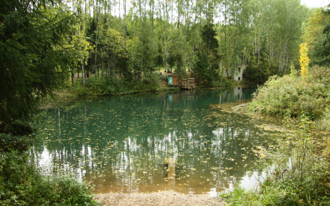 В Мордовии из водоема извлекли тело мужчины