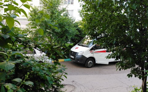 Сразу 56 случаев коронавируса выявлено за сутки в Мордовии: география и возраст