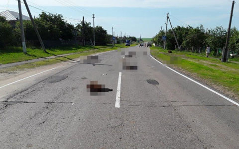 В Мордовии автоледи на грузовике раздавила стадо овец