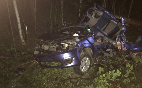 Легковушка попала в жуткое ДТП в Мордовии: два человека погибли, еще двое в реанимации