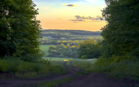 Синоптики рассказали о погоде в Саранске на 23 июня