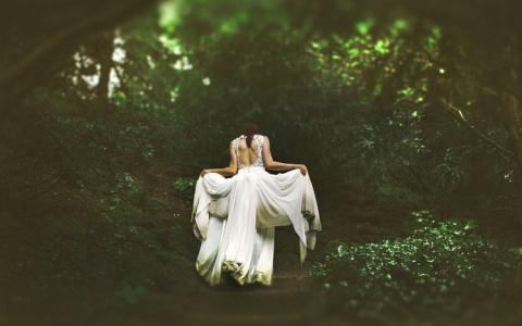 Плодотворный день у Тельцов, а у Львов – серьезные перемены в личной жизни: гороскоп на 23 июня для всех знаков