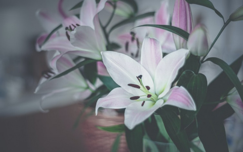 Девы решат финансовые проблемы, а у Стрельцов – благоприятный день: гороскоп на 25 июня для всех знаков