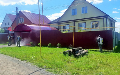 Сотрудники МЧС Мордовии проводят дезинфекцию в Белозерье