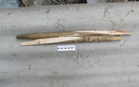 Ревнивец из Мордовии сломал черенок от лопаты об голову «соперника»