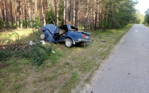 Водитель «ВАЗа» слетел с дороги и врезался в дерево в Мордовии