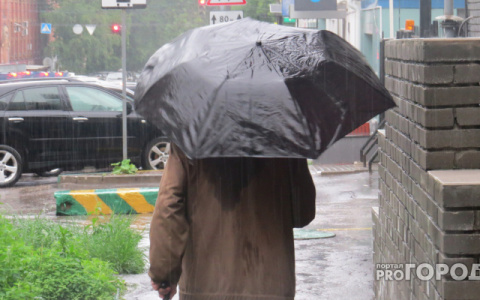 Синоптики рассказали о погоде в Саранске на 5 июля