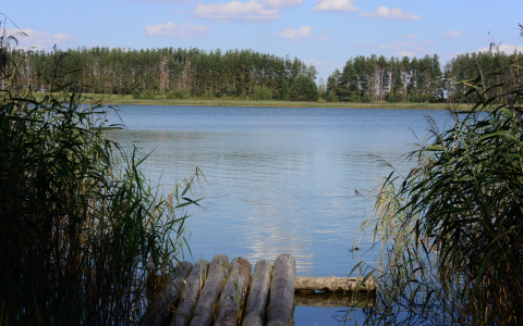 В одном из районов Мордовии из воды извлекли тело мужчины