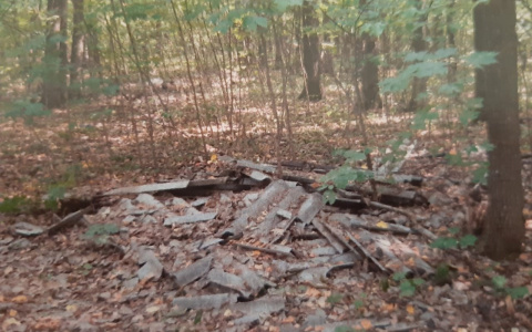 В Мордовии двое мужчин предстанут перед судом спустя 10 лет после совершенного преступления