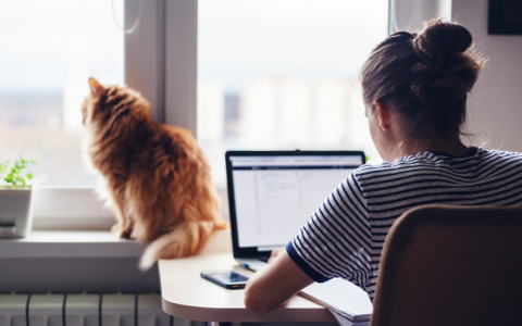 Россельхозбанк поддержал законопроект о дистанционной работе