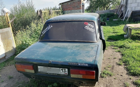 Житель Мордовии открыл стрельбу из автомата на проводах друга в армию