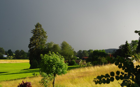 О грозе и сильном ветре предупреждают жителей Мордовии