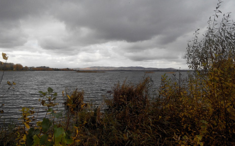 Синоптики рассказали о погоде в Саранске на 14 июля