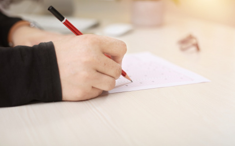 В Мордовии 6 выпускникам аннулировали результаты ЕГЭ