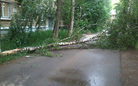 В ближайшие часы на Саранск вновь обрушится ураган