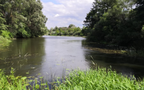 Вынесло на берег реки: В Мордовии нашли тело пропавшего без вести мужчины