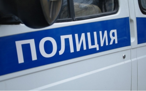 В Саранске пьяный дебошир прыгал по крыше чужой машины: объяснить свой поступок он не смог